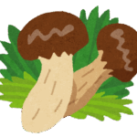 トレーニングも大事ですがケアも大事です